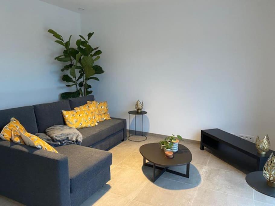 Ruim Gezellig Appartement Zwalm Esterno foto